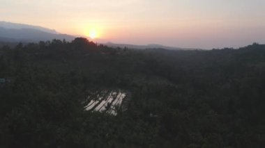 Bali 'deki pirinç tarlası üzerinde İHA uçuşu