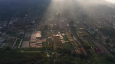 Bali 'deki Tarım Tarlaları İHA' sı