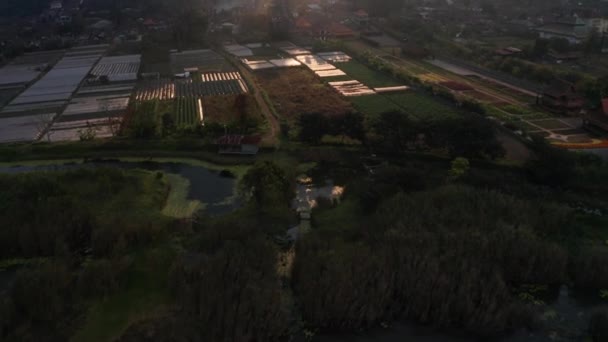 Mezőgazdasági terület feletti drón a városban Balin — Stock videók