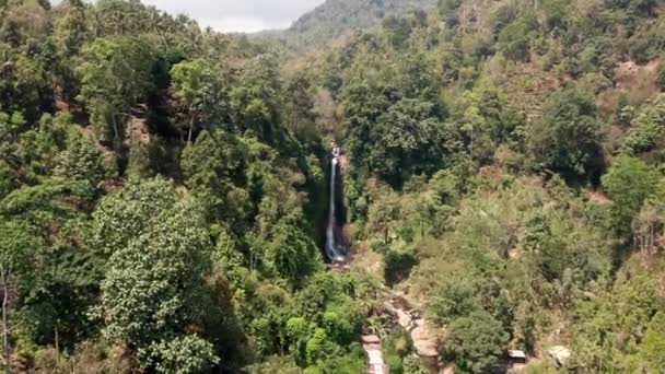 Drone vlucht over bos naar waterval — Stockvideo