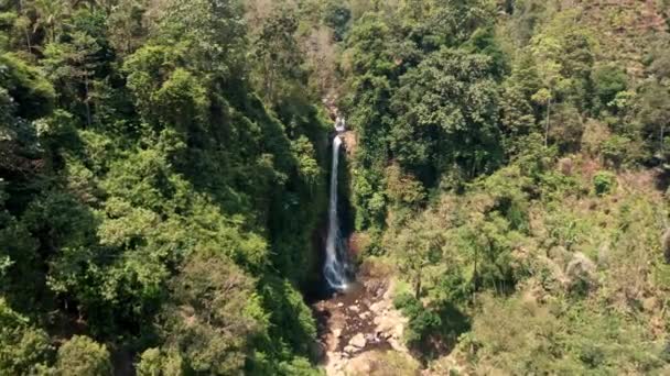 Pesawat Drone Flight Over Forest To Large Waterfall — Stok Video