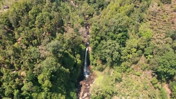 从森林上空俯瞰巴厘岛瀑布 — 图库视频影像