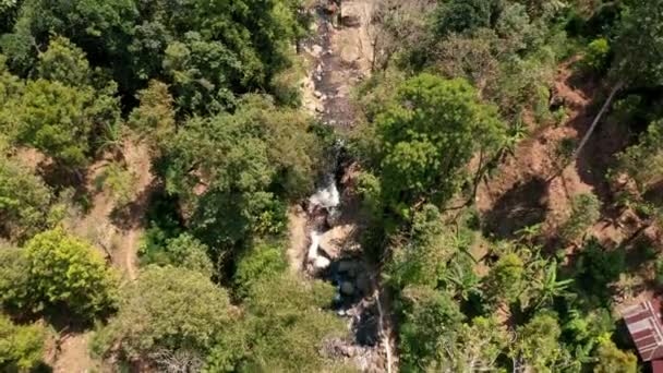 Drone sur les rapides traversant la forêt — Video