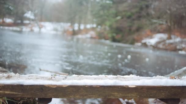 Flicka korsar träblankt över snöig sjö — Stockvideo