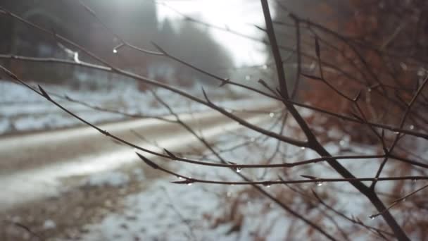 Dospívající dívka chůze zimní cesta — Stock video
