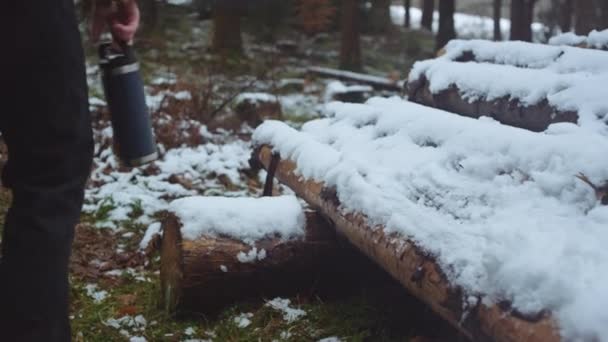 Девушка передвигает снег из кучи бревен в лесу — стоковое видео