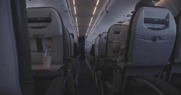 Interior da cabine do avião com fileiras de assentos — Vídeo de Stock