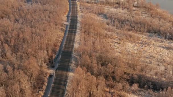 Дрон відстеження автомобіля по дорозі через ліс — стокове відео