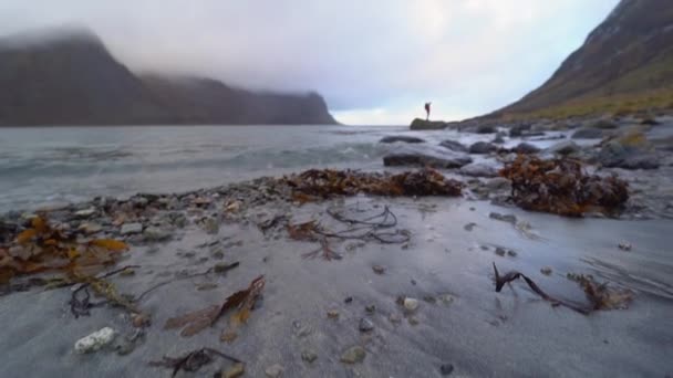 Ensamstående vandrare står på klippan vid fjorden — Stockvideo