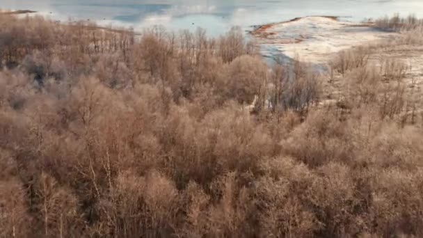 Drone sobre el bosque en paisaje de invierno — Vídeo de stock