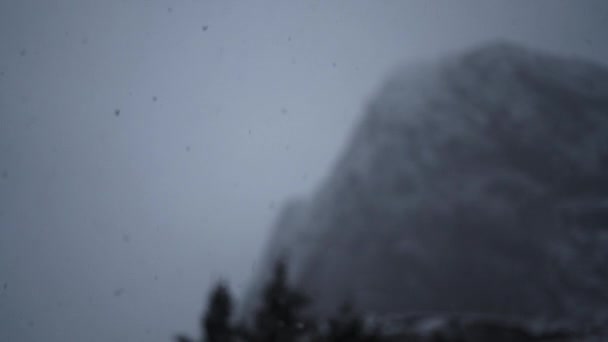 Schnee fällt am nebligen Tag vom Himmel — Stockvideo