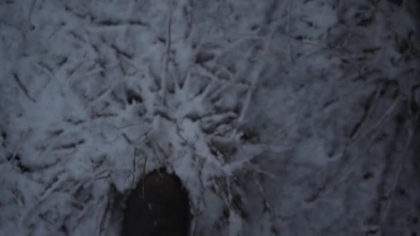 Homem caminhando em botas no chão nevado — Vídeo de Stock