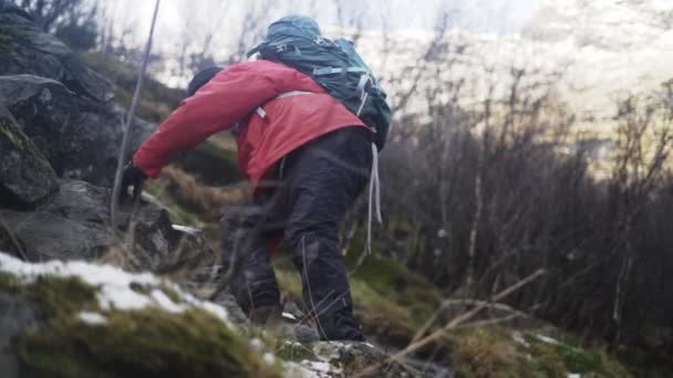 ผู้ใหญ่ hiker clambering ขึ้นเนิน — วีดีโอสต็อก