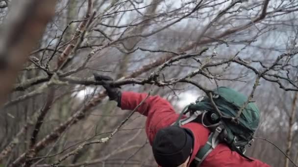 Mature Hiker Making Way Through Trees — Stock Video