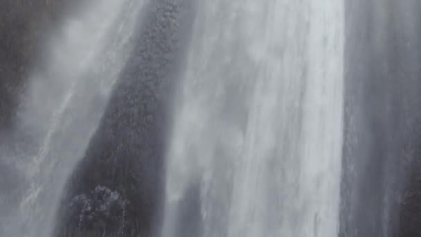 Femme aux cheveux bleus regardant la cascade — Video