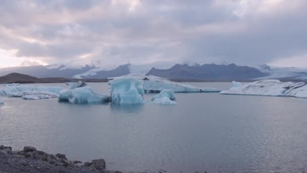 Icebergs flottant sur la mer froide en Islande — Video