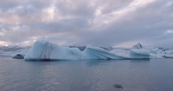 寒い冬の海に浮かぶ氷山 — ストック動画