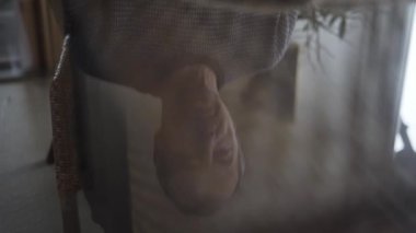 Tablo Kapanışı Fotoğraf Albümüne Yansıyan Adam
