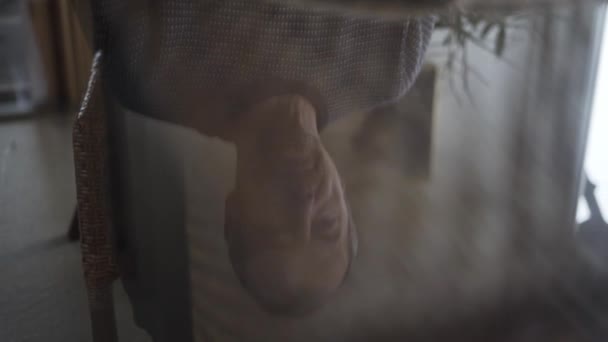 Man Reflected In Table Closing Photograph Album — Stock video