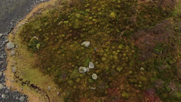 Drone of Hiker Wandelen in de buurt van Fjord — Stockvideo