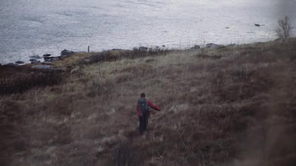Wandelaar wandelend in gras naar Fjord — Stockvideo