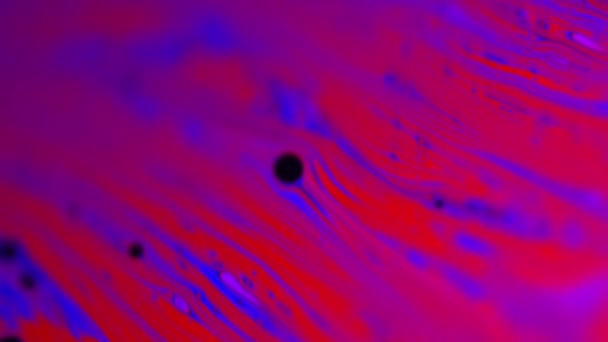 Makro Abstrakt skott av rosa flytande lösning med ljus linje Streaks — Stockvideo