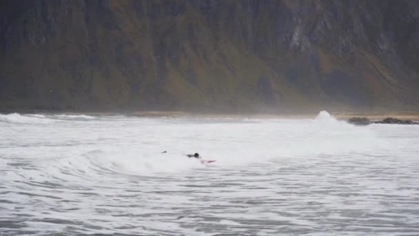 Surfař Klečící na palubě v chladném moři — Stock video