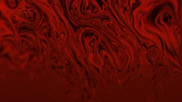 Реферат Макро Выстрел цветочных линий и кривых глубоким красным цветом — стоковое видео