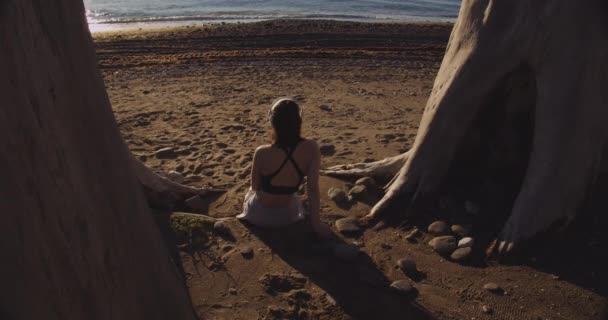 Donna seduta tra gli alberi sulla spiaggia — Video Stock
