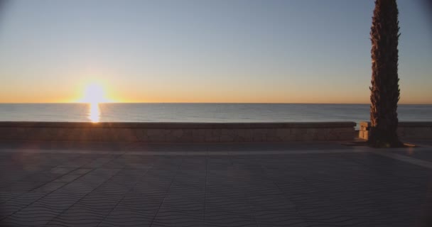 Mujer corriendo a lo largo de la playa al atardecer — Vídeos de Stock