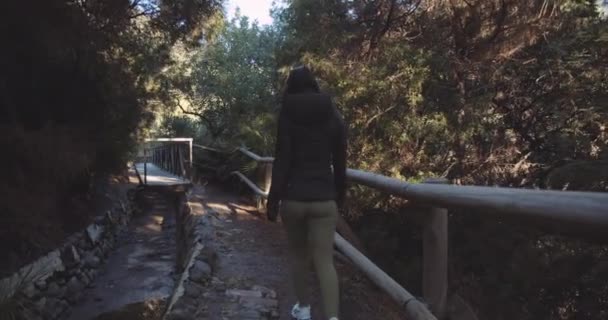 Жінка ходить по кантрі стежці — стокове відео