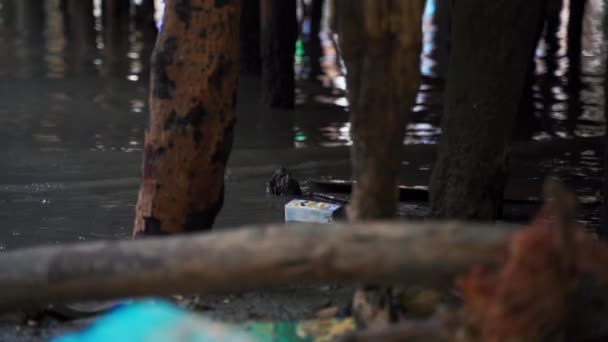 Картон с соком, плавающий вокруг грязной воды под деревянным мостом — стоковое видео