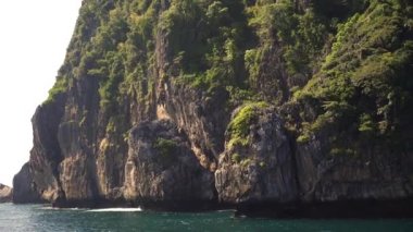 Okyanus Kıyısı Ağaç ve Köpüklü Okyanus Suyu ile dolu Koh Phiphi Plajı