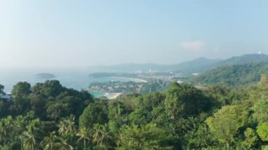 Phuket, Tayland 'daki Güzel Sahildeki Uzun Ağaçların Üzerinde