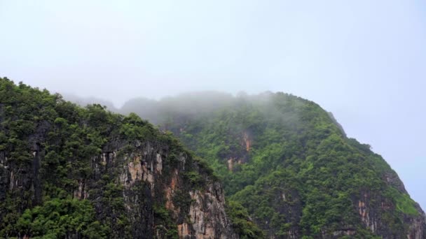 Bergtop met Bos Bomen gevuld met mist in Thailand — Stockvideo