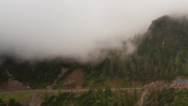 Bosque montañoso con una vara estrecha y niebla que cubre los abetos — Vídeos de Stock