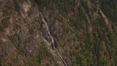 Uzun firavun ağaçları ve küçük bir şelale gövdesi olan bir dağın yamacında.