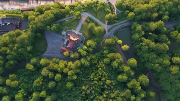 Seguimiento de arriba hacia abajo Drone Shot of Forest Trees, Infinite Bridge y Vast Ocean — Vídeo de stock