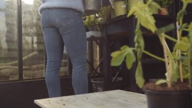 Serada Saksısı Olan Kadın