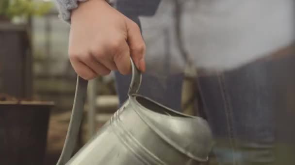 Donna versando acqua da annaffiatoio in acciaio — Video Stock