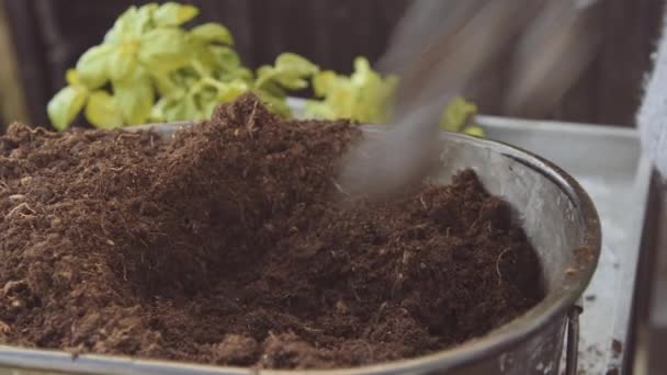 Jardinier prenant le sol et mettre dans le pot — Video