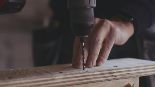 Carpenter Using Screwdriver To Fix Screws — Stock Video