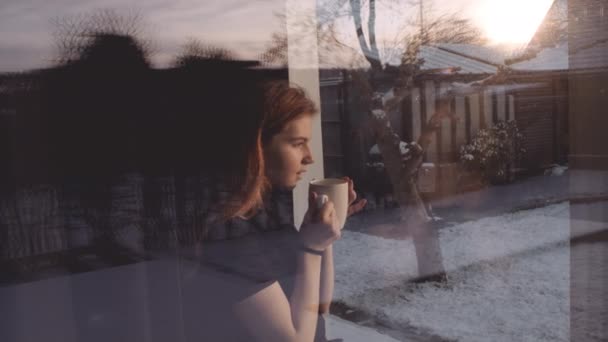 Teenage Girl By Window to Snowy Garden — Αρχείο Βίντεο