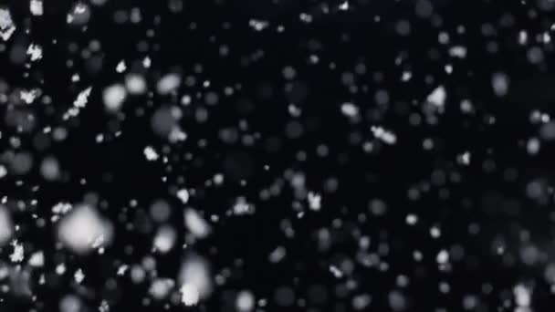 Snowflakes falling at night — Stock Video