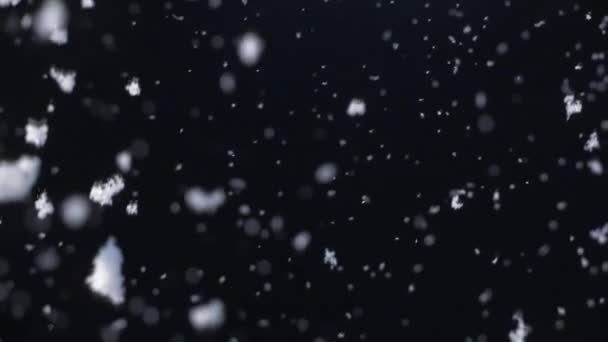 Snowflakes falling at night — Stock Video