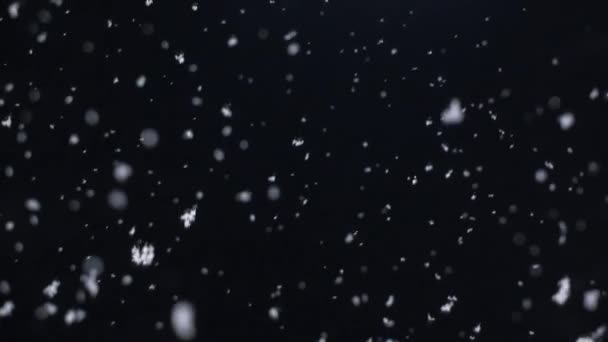 Sněhové vločky padají v noci — Stock video