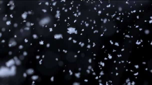 Snowflakes falling at night — Stock Video