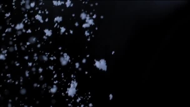 Fiocchi di neve che cadono di notte — Video Stock