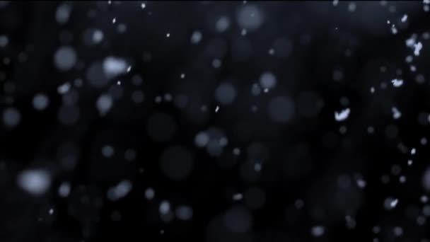 Schneeflocken fallen in der Nacht — Stockvideo