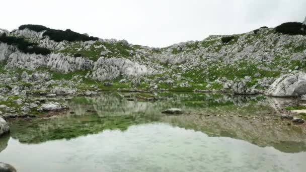Vuelo de drones sobre el estanque tranquilo — Vídeos de Stock